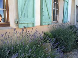 Photo of Side of Mas De Cadenet I just loved the lavender and trees surrounding the winery. , irishgal76 - July 2014