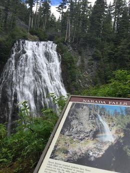 Photo of Narada Falls Photo Stop We stopped many times as we drove in and out of the park, spying wildflowers, milky blue waters, and the most stunning water falls! We only wish we could have jumped in to splash around! , Sarah P - July 2016