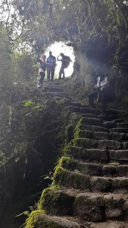 Photo of Narrow stairwell originally made by the inca's Narrow stairwell originally made by the inca's , Daniel F - March 2014