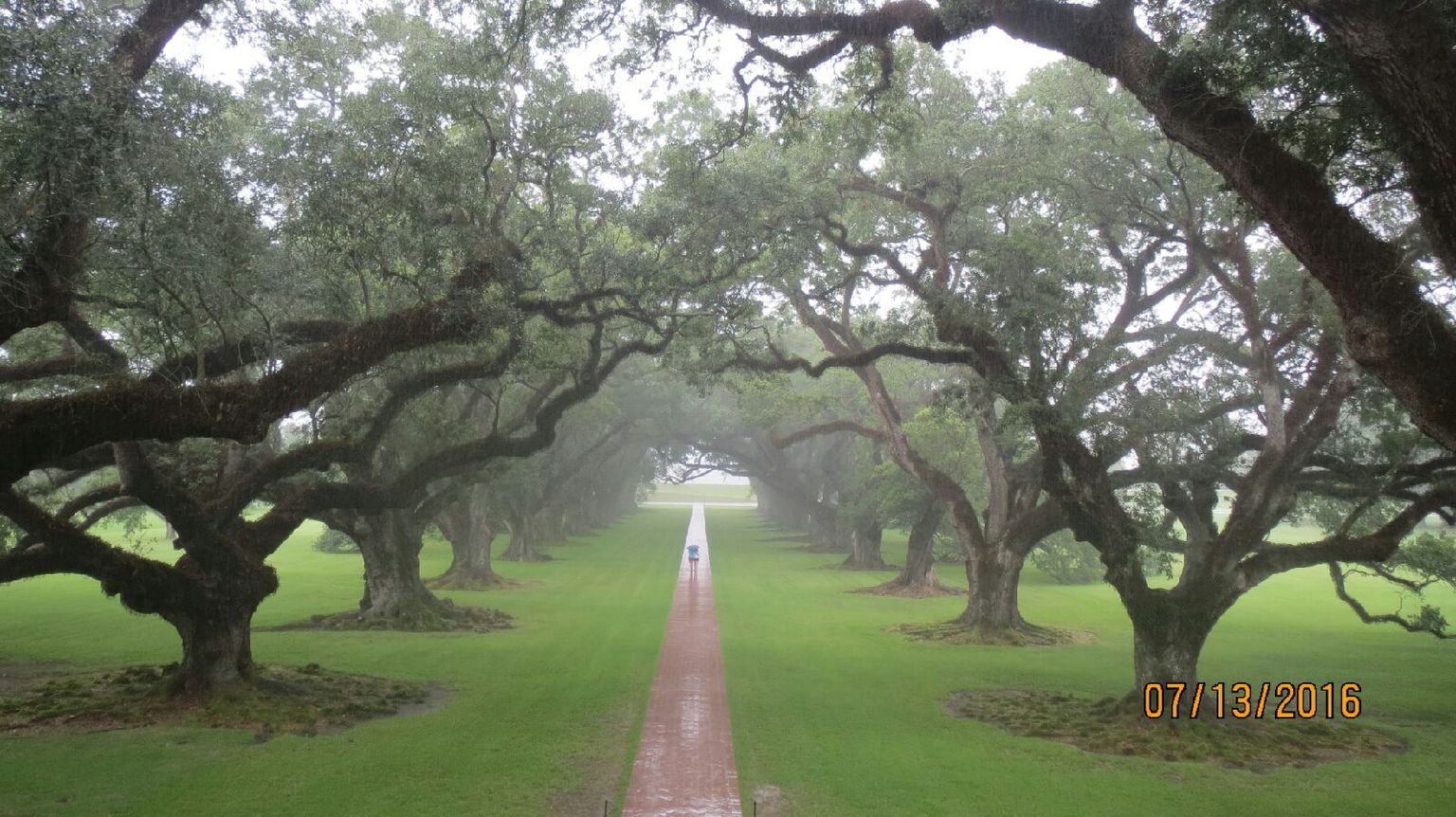 Oak Alley Plantation from the Balcony....