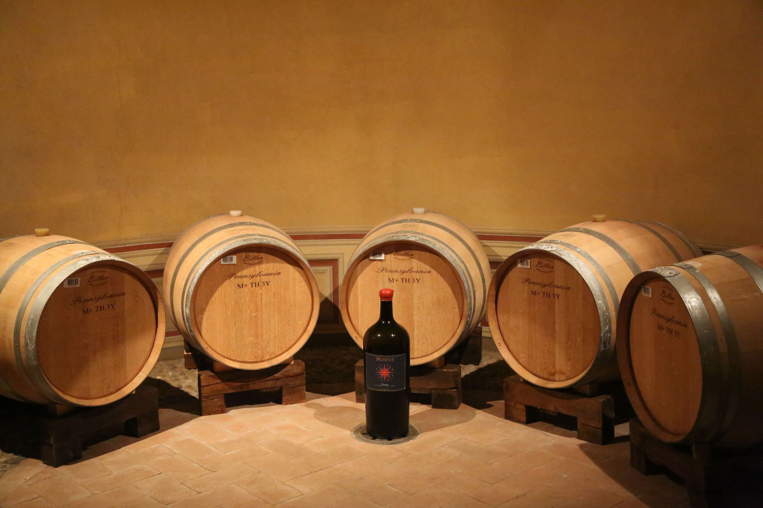 Inside the winery