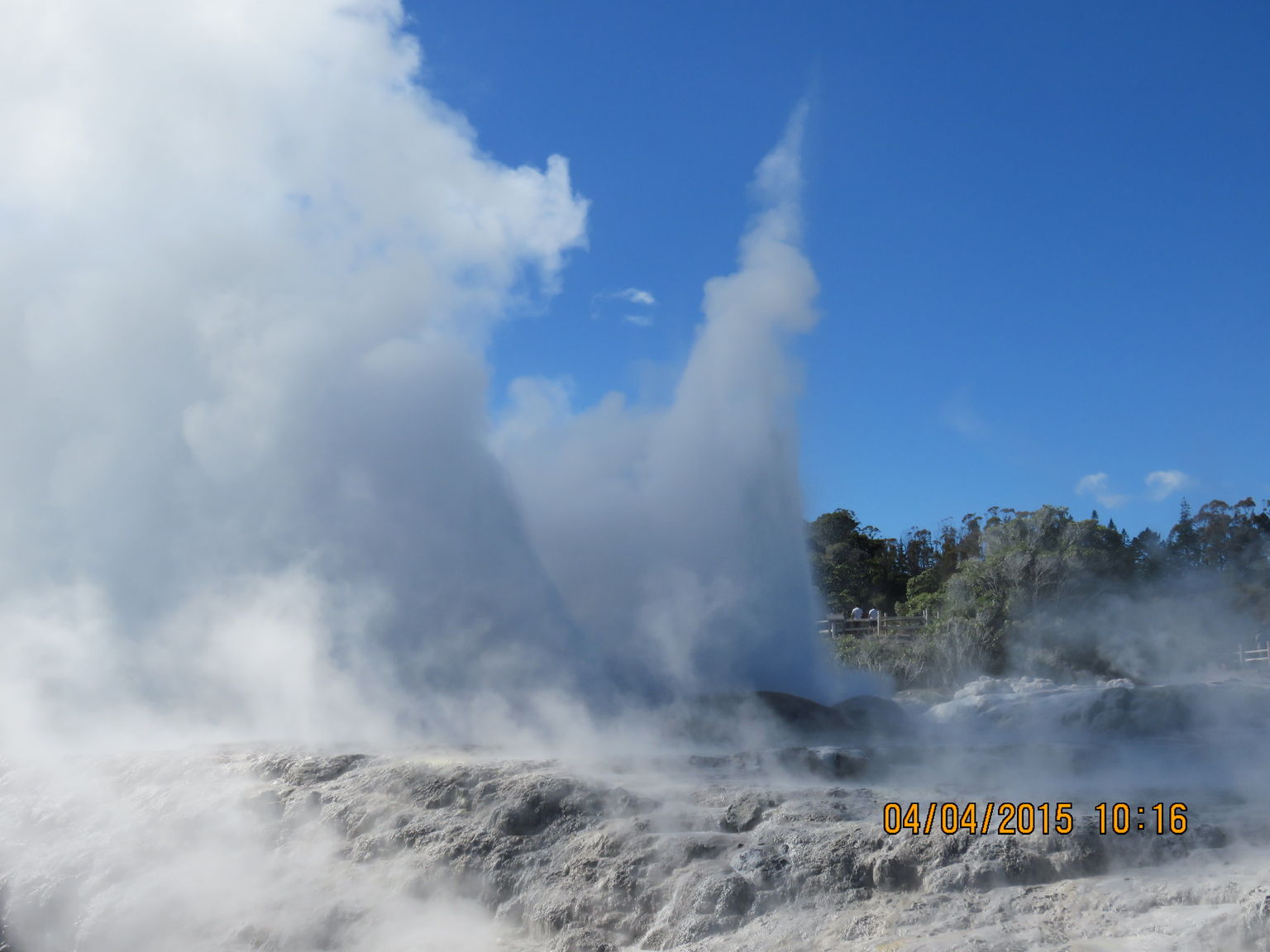 Te Puia Geysers - Wonderful Site