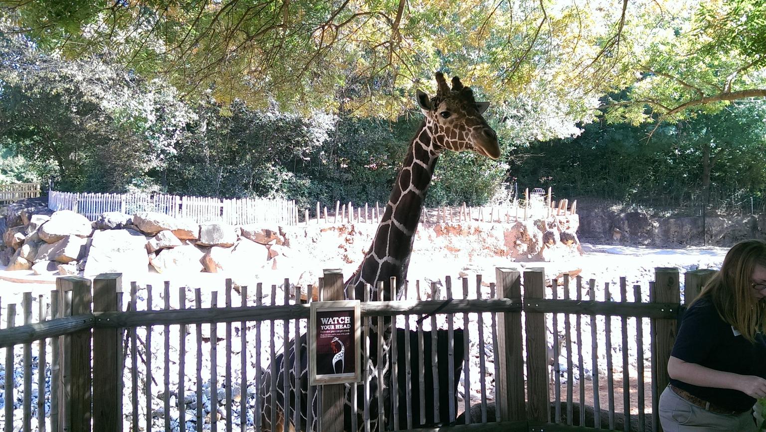 Zoo Atlanta