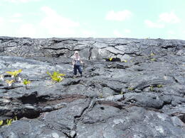 Photo of Big Island day trip from Oahu Volcano on the Big Island: The sheer scale of the lava flows is breathtaking , PATRICIA C - June 2011