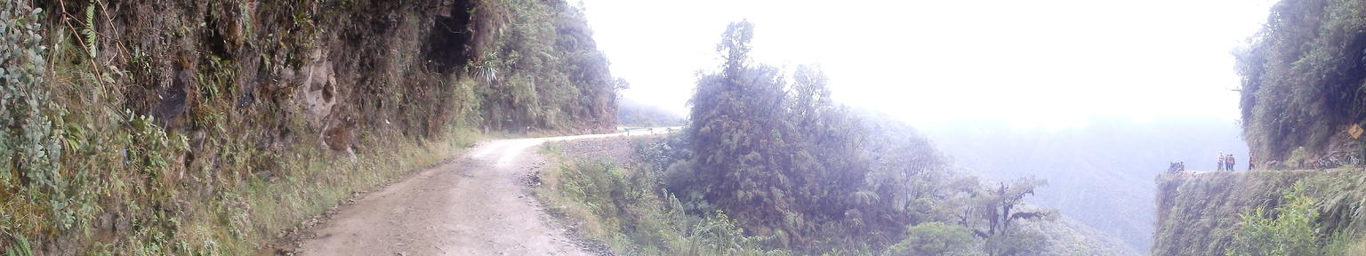 Panoramic
