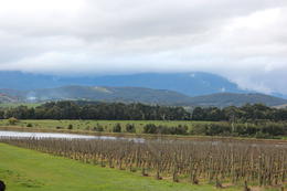 Photo of Yarra Valley Wine and Winery Tour from Melbourne Yarra Valley Wine and Winery Tour from Melbourne, Emma - September 2011