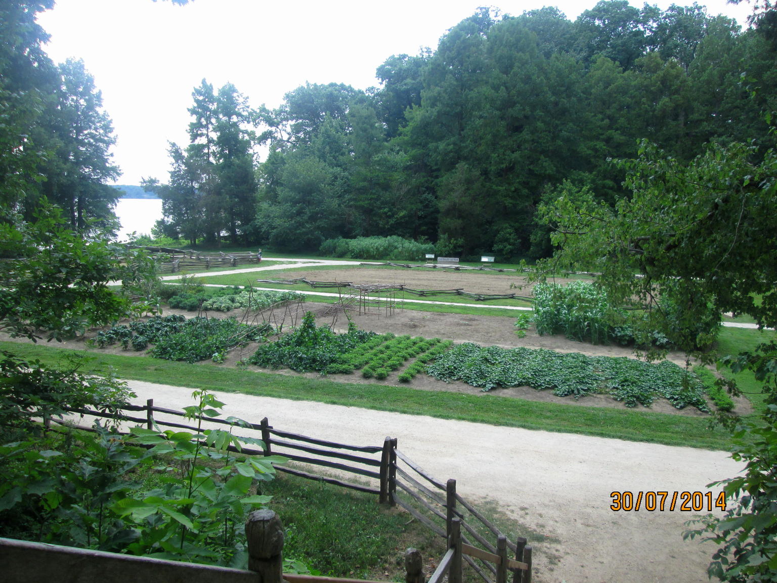 Mount Vernon vegitable / seed beds