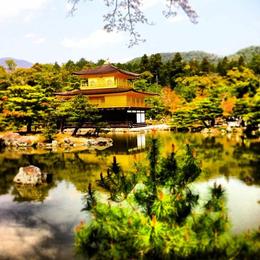 Photo of Kyoto Full-Day Sightseeing Tour including Nijo Castle and Kiyomizu Temple Kinkakuji Temple, Asha & Brock - July 2013