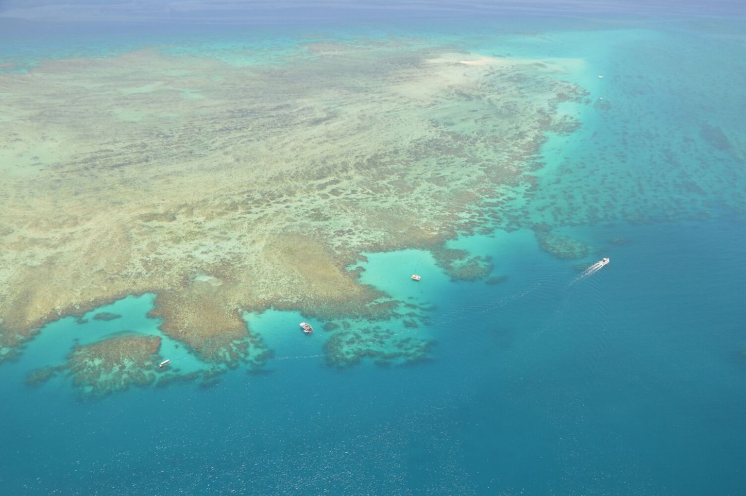 some portion of Arlington reef