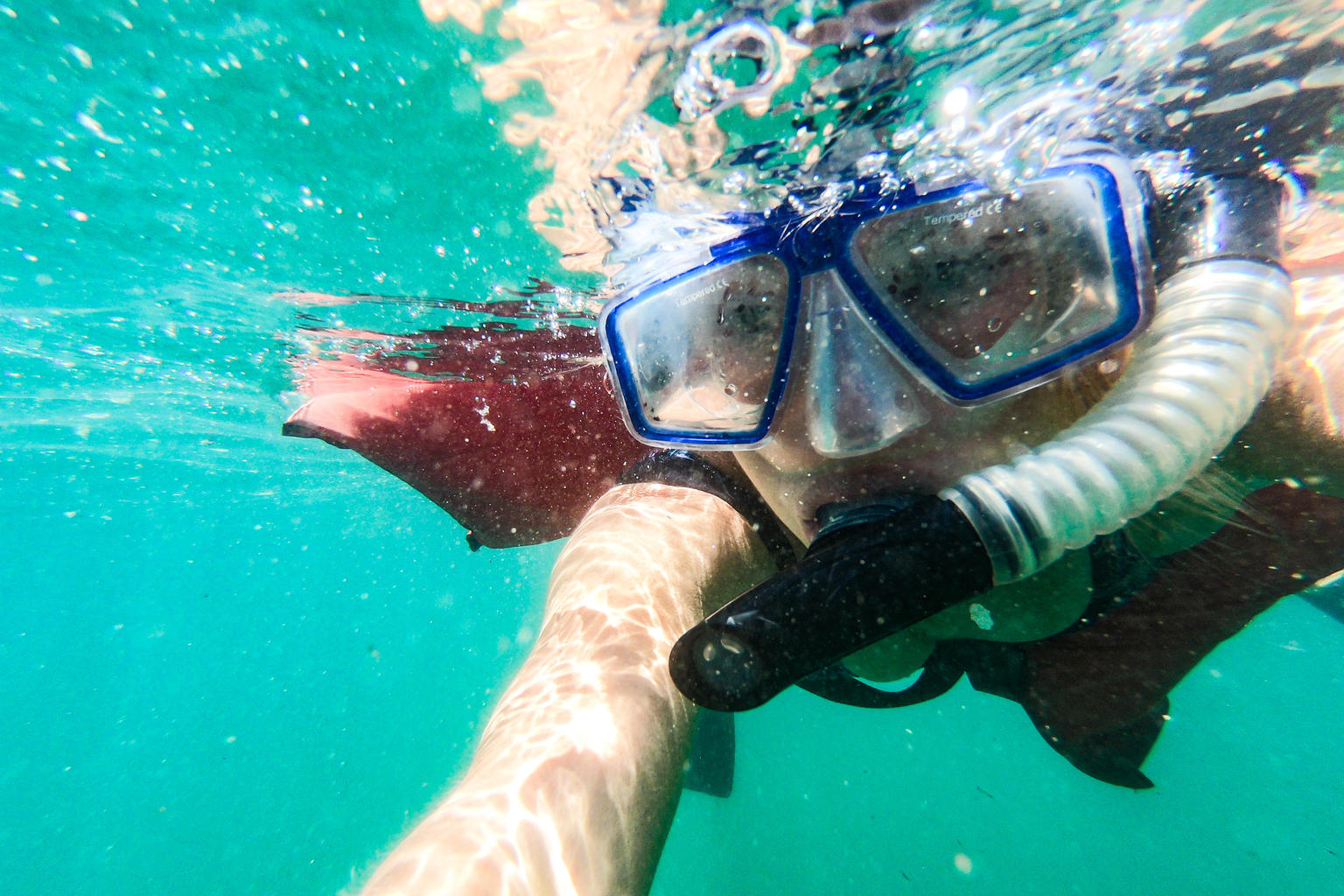 Viator_Photographer_448098.jpg