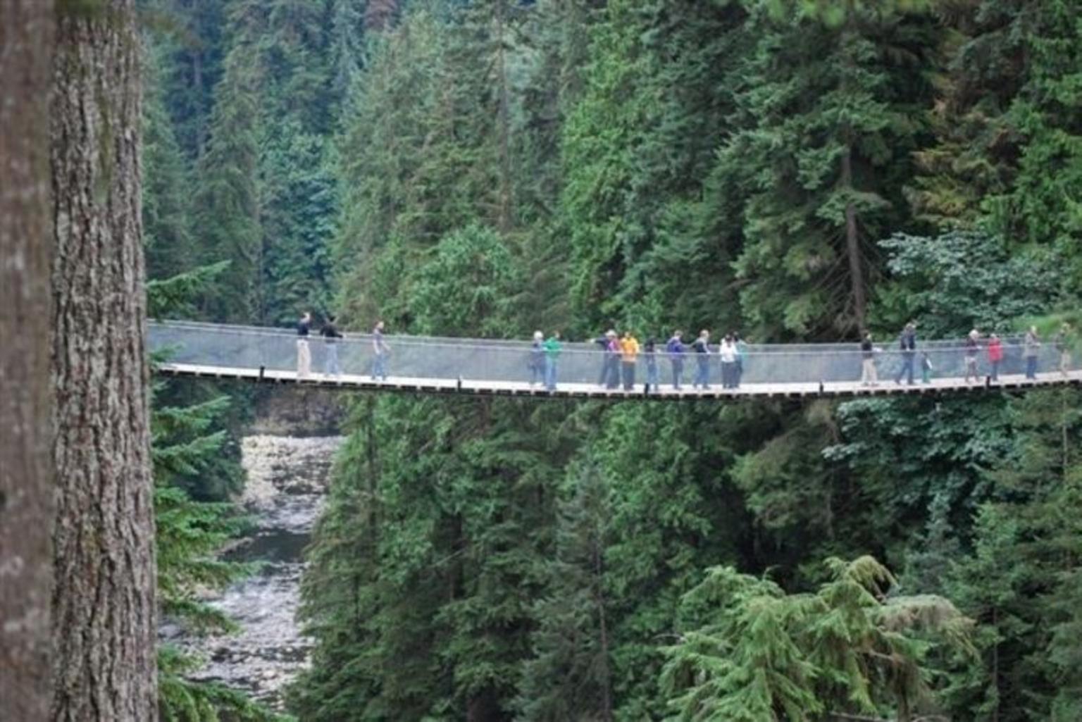 Capilano Suspension Bridge