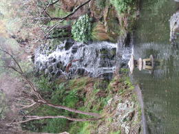 Photo of Peace Flame Such a peaceful place. This peace flame is at the Botanic Gardens in Wellington. One of the stops on this amazing tour! , Sandy C - September 2016