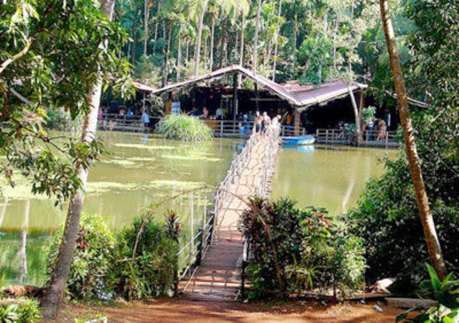 Spice plantation