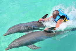 Photo of A must do for all interested in visiting Anguilla with a catamaran trip and Two dolphin pull for Suzanne. Look at the smile on my face. , Suzanne L - May 2015