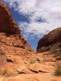 Photo of Pricilla Queen of the Desert This was the one of the locations for Priscilla. We did not know this in advance but loved the fact. , Mallie H - December 2015