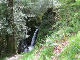 Photo of The Waterfall in Wicklow Moutains Glendalough Waterfall that runs down to the Lake at Glendalough , Brenda W - July 2015