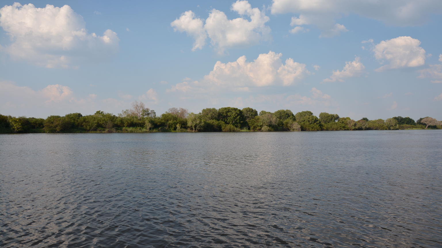 Zambezi River