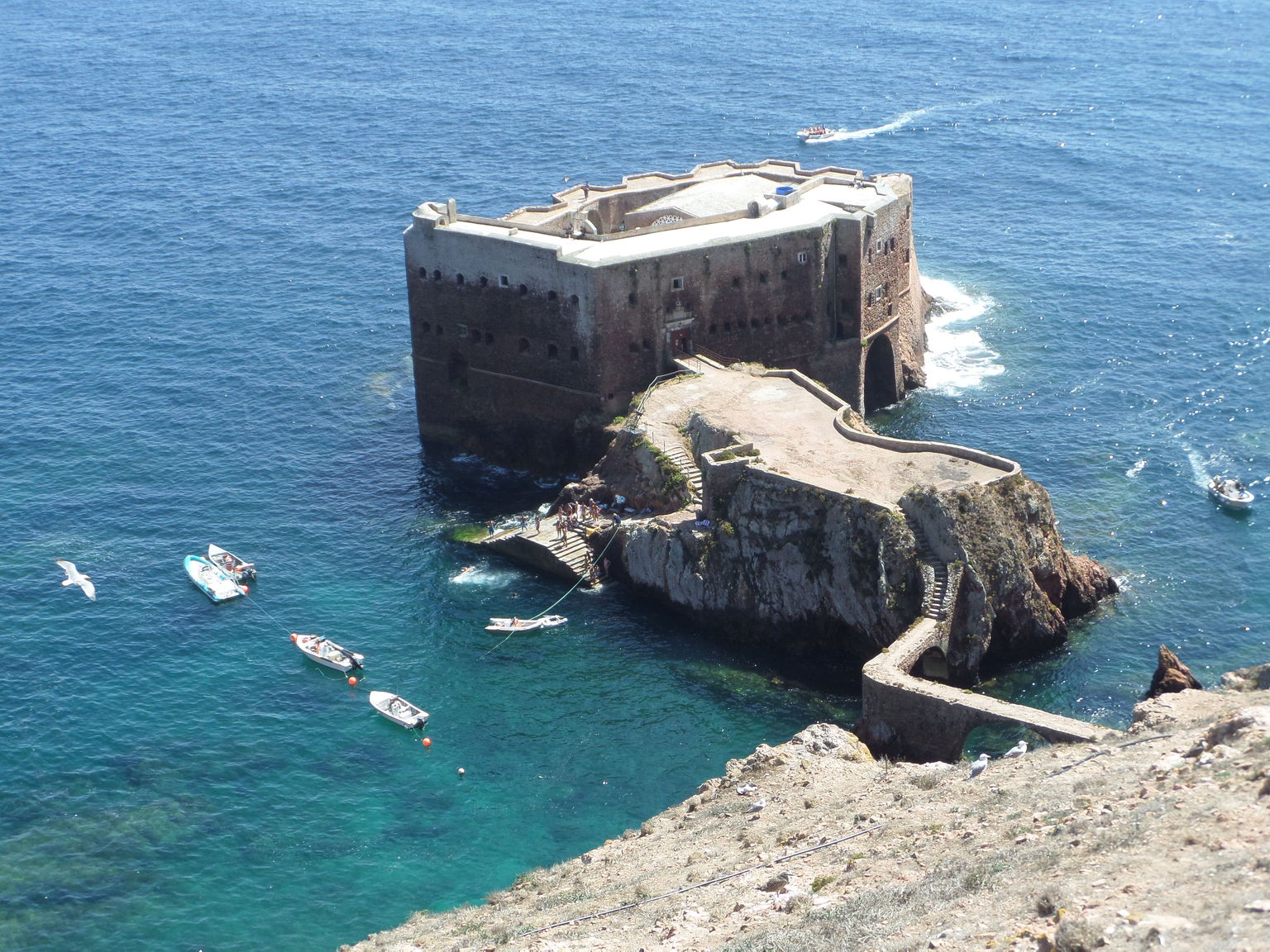 Berlengas Island