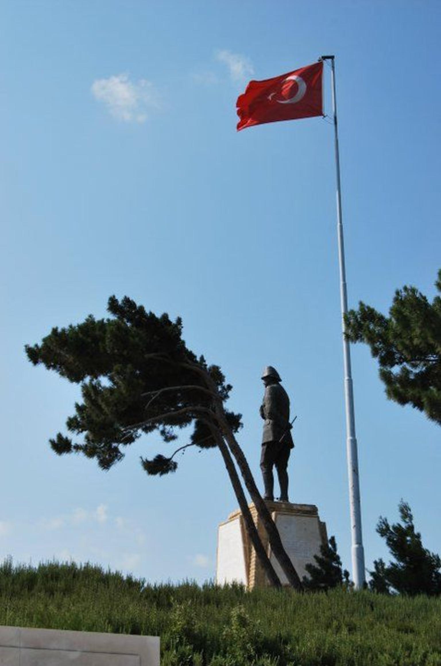 Mustafa