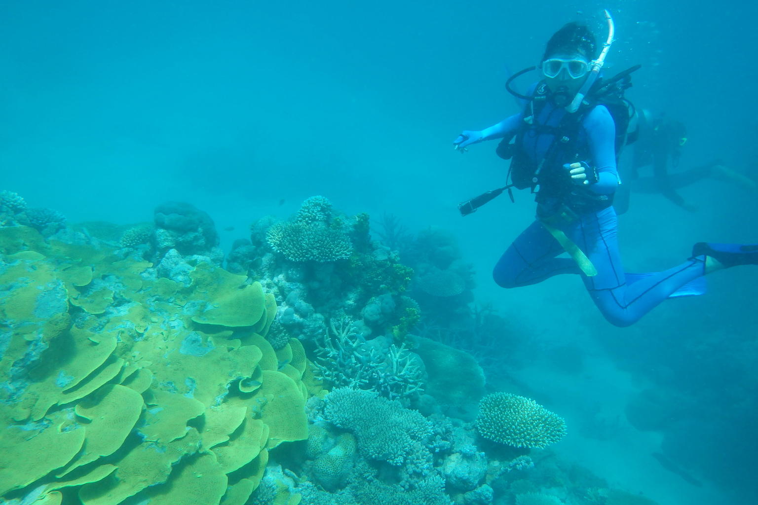 With da Reef!