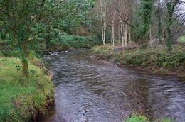 Photo of A river near Blarney Castle. This is a shot of the river winding by Blarney Castle. The grounds were beautiful. , Robert R - January 2015