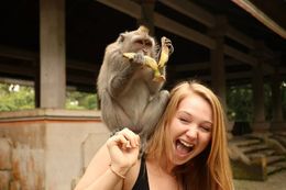 Photo of Me and the Monkey and Monkey Forest in Bali! Thank you Yus, our tour guide for the awesome photo! , Trisha D - September 2015