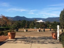 Photo of Yarra Valley Wineries 2 This was taken at one of the other wineries we visited. , Kelly S - June 2016