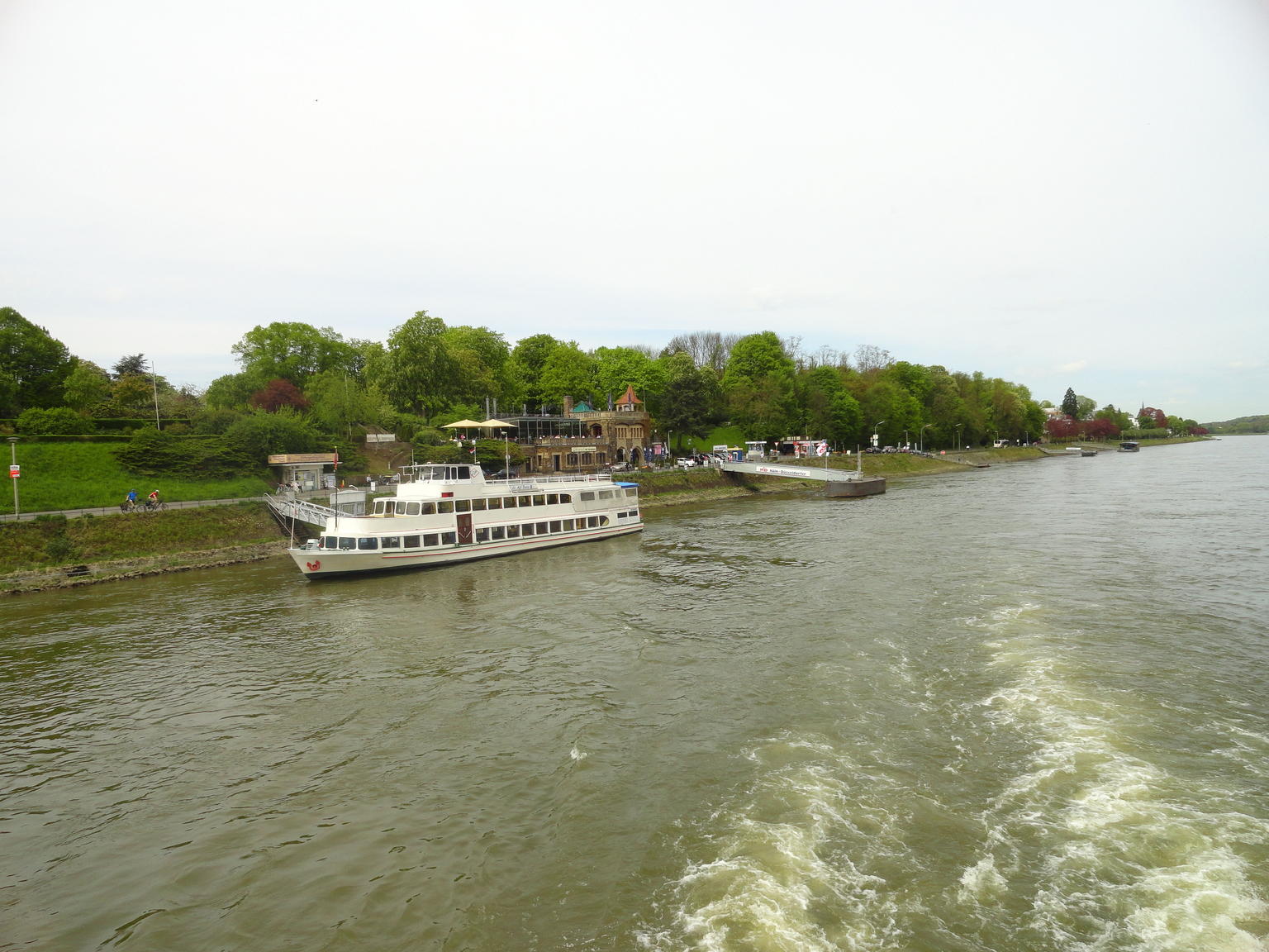 Rhine bank