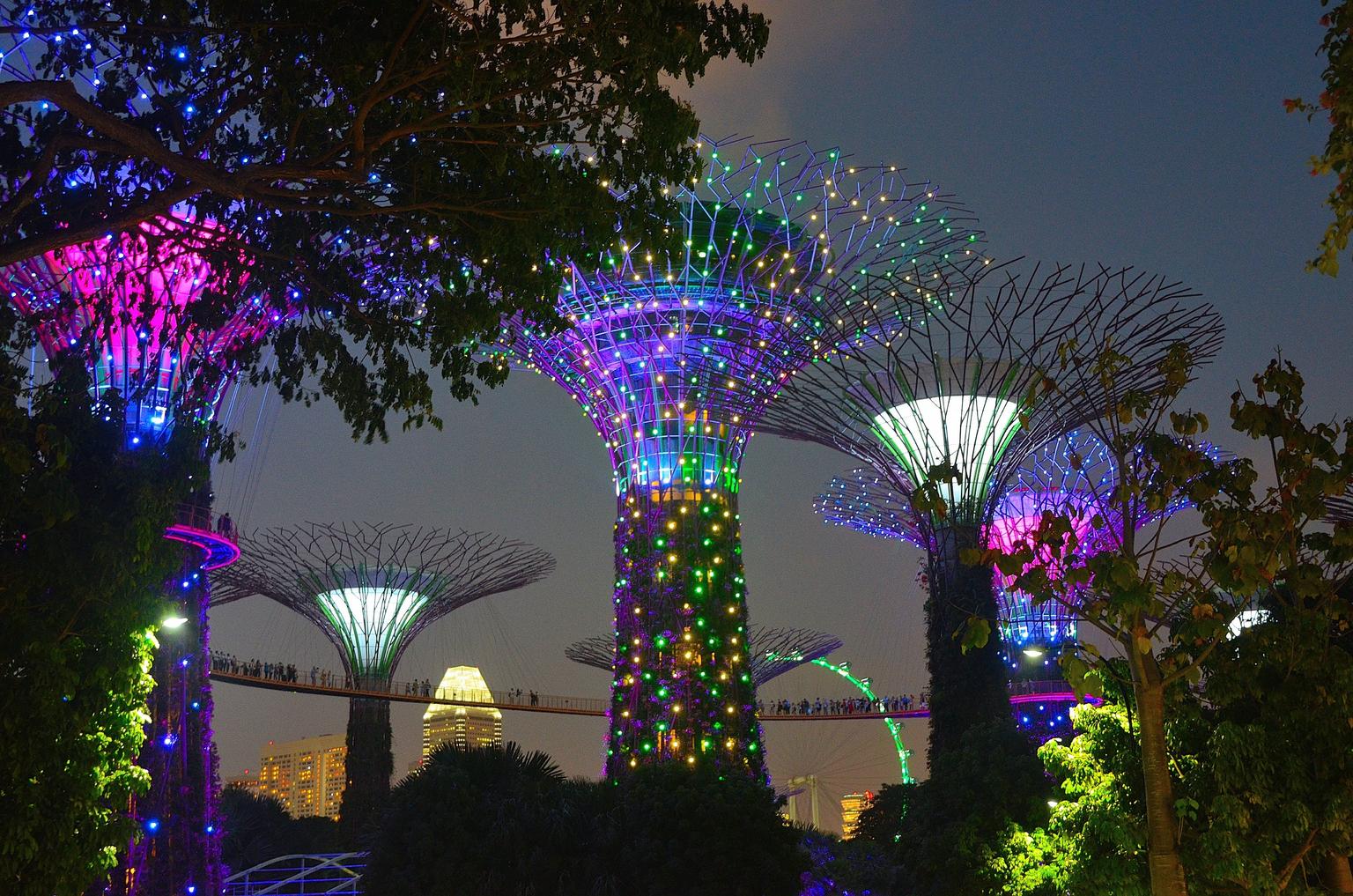 Трип 2024. Gardens by the Bay шоу. Сингапур в феврале. Gardens by the Bay Flyover. Light show Gardens by the Bay Singapore.