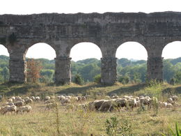 Photo of Ancient Appian Way tour Get out of town - who would have thought we had just ridden from the Colosseum , colly.blue - September 2015
