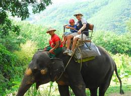 Photo of Elephant Jungle Trek Elephant Jungle Trek: That's one happy boy riding an elephant - June 2011