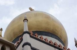 Photo of Masjid Sultan Dome A visit to the main Mosque. Remember to cover up and remove your shoes., Frances A - April 2010