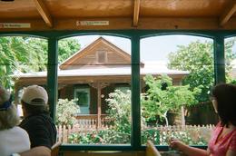 Photo of On the Hop On Hop Off Tour Historic Houses in Key West, JennyC - December 2010