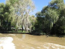 Photo of View from the El Tigre riverboat View from the stern of the El Tigre boat tour , Vincent B - April 2013