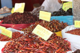 Photo of Chili Peppers Market was full of baskets of chili peppers - Oaxaca is know for its amazing food and the markets didn't disappoint!, Bandit - November 2013