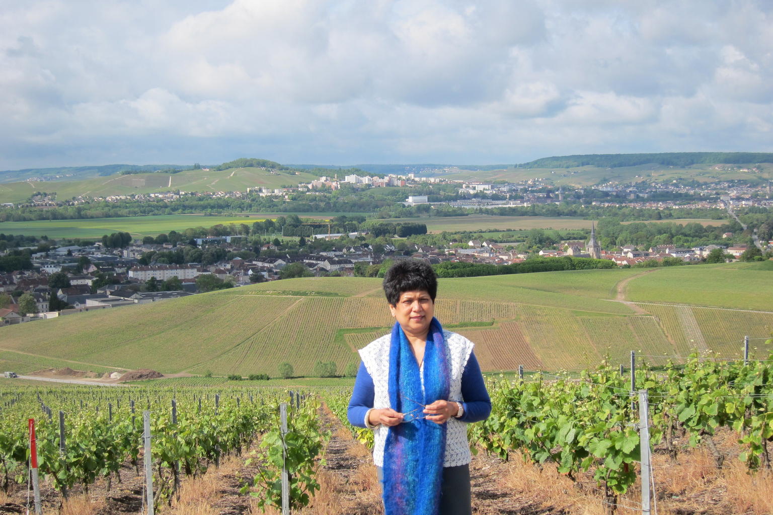In the Vineyards