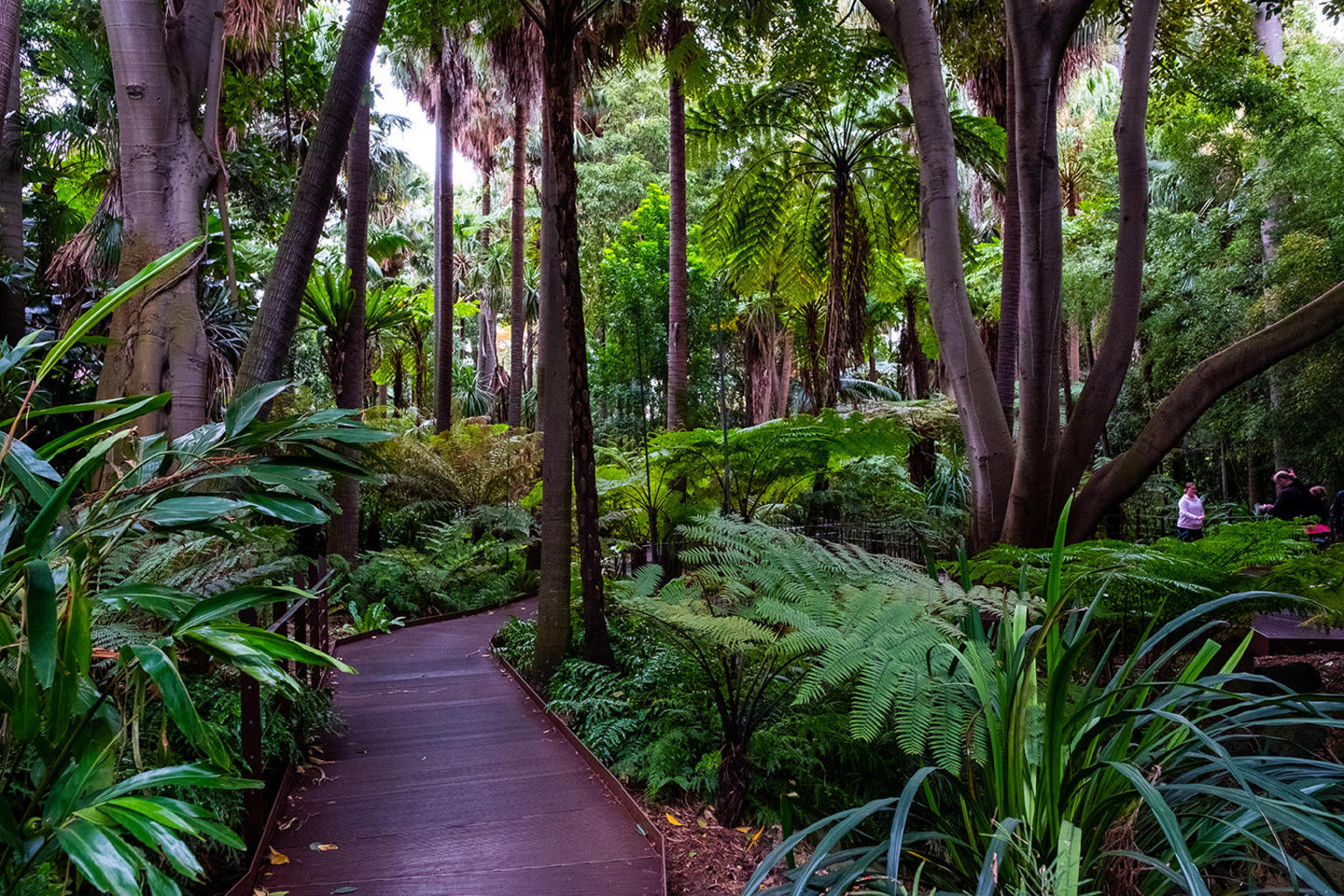 BestofMelbourneCityTourWithTramcarDinner_BotanicGardens_Melbourne_055.jpg