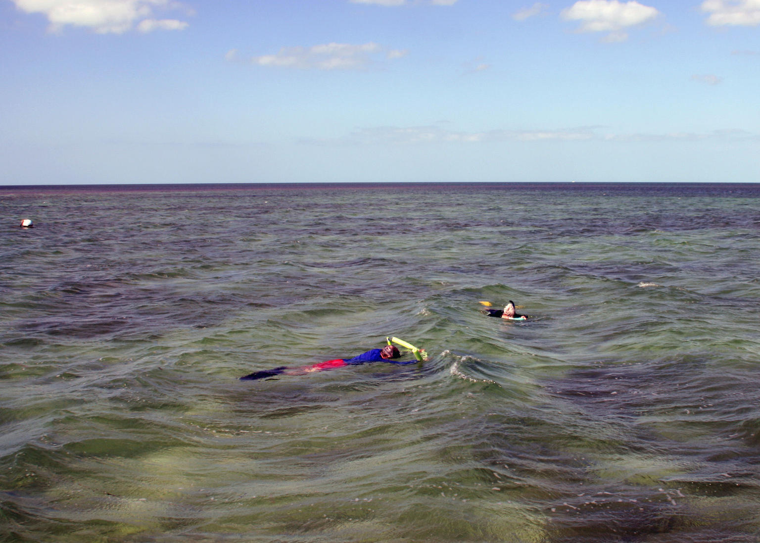 Snorkeling above the sponge fields with Captain Noah and Tess's watch!!