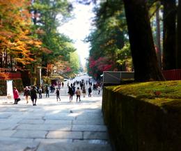 Photo of Nikko Toshogu Shrine Nikko Toshogu was built as a shrine and mausoleum to deify Ieyasu Tokugawa , Panda - November 2013