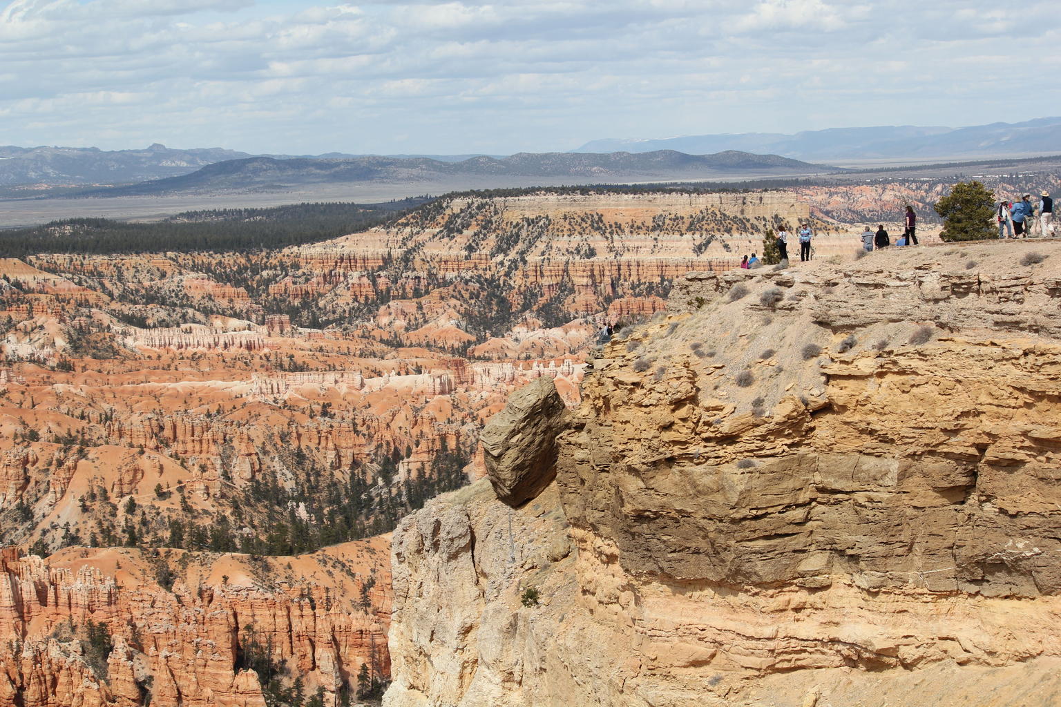 Bryce
