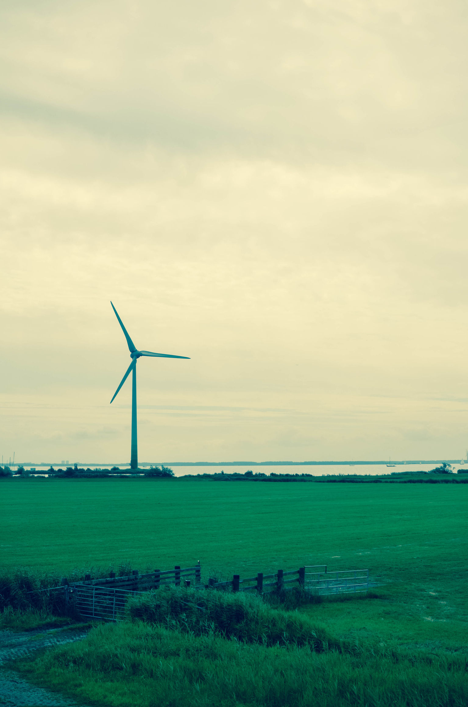 Lonely Wind Turbine