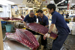 Photo of Private Tour: 4-Day Best of Tokyo and Kyoto including Meiji Shrine, Tsukiji market, Gion Walk, Fushimi Inari, Bike Tour and Karaoke Fishermen at work at Tsukiji fish market - June 2013