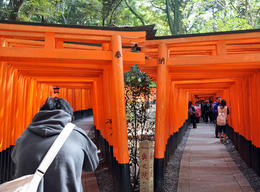 Photo of Private Tour: 4-Day Best of Tokyo and Kyoto including Meiji Shrine, Tsukiji market, Gion Walk, Fushimi Inari, Bike Tour and Karaoke Fushimi Inari in Kyoto - June 2013