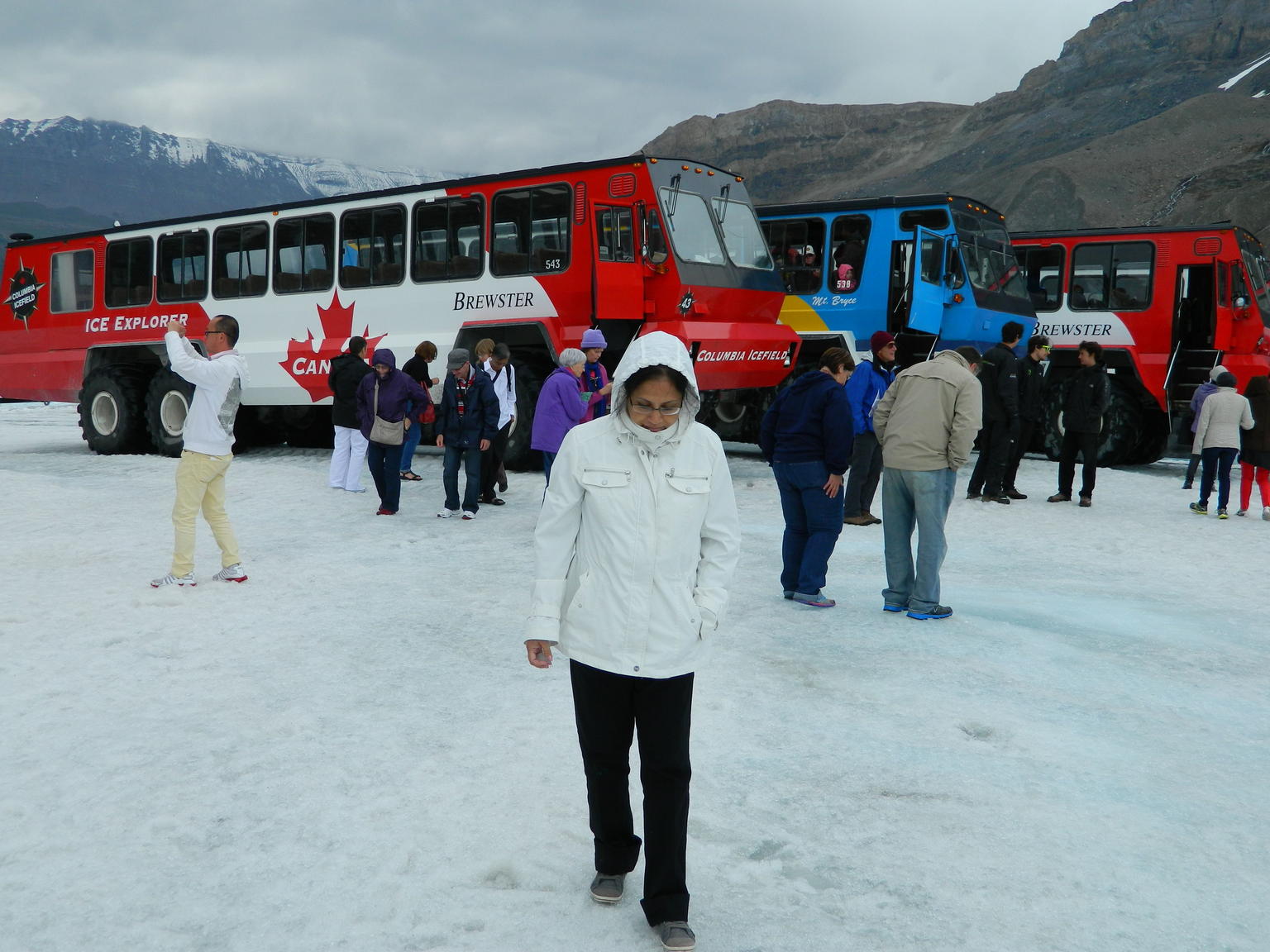 A walk on the icefield