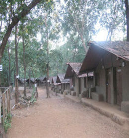 Photo of Shanti Nature Resort Some of the living accommodations in the resort; designed after native living arrangements - July 2012