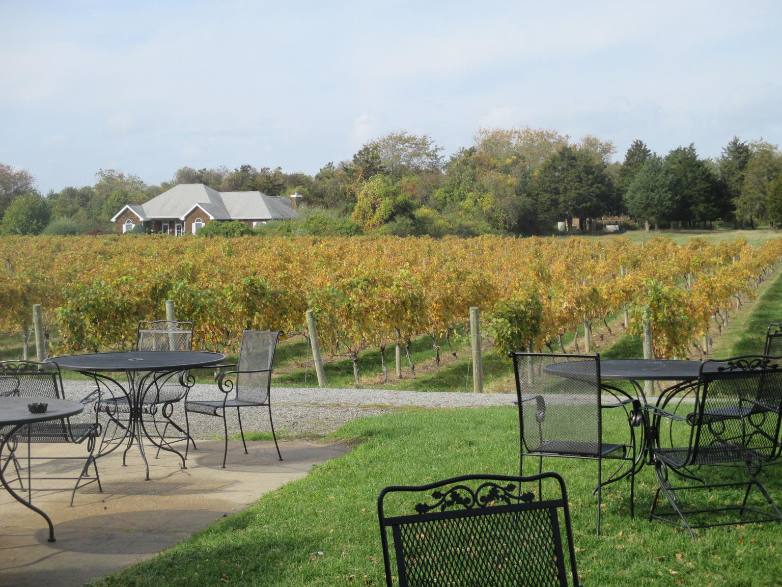 Some wine tasting at Duck Walk Vineyards