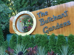 Photo of Birthday Trip to Victoria and Butchart Gardens! This is my picture that I took at the Gardens! What a fun trip it was!!! , David L - August 2016