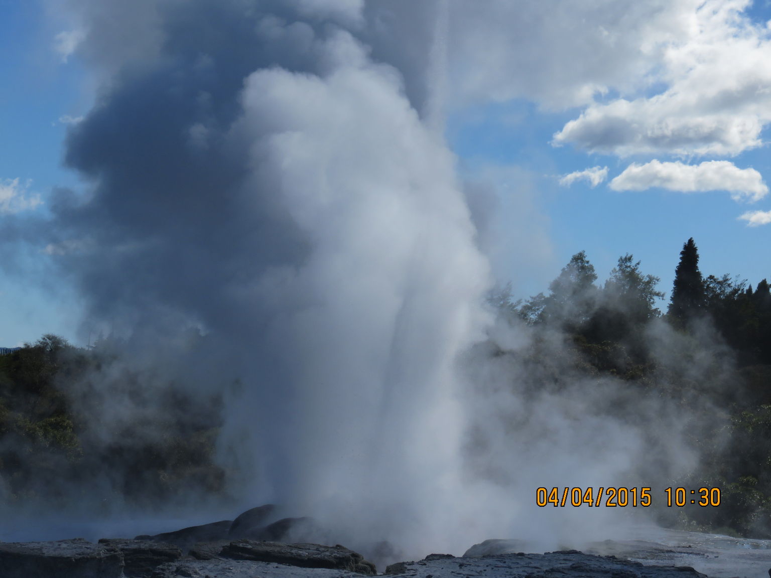 Pohutu Geyser at Te Puia