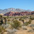 Photo of Las Vegas Excursão ao Red Rock Canyon Red Rock and Joshua Trees