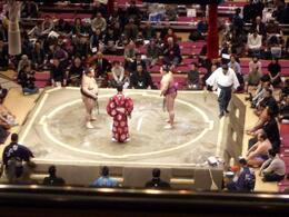 Photo of Facing Off at the Sumo The seats you get on the tour are good; and watching the other spectators is a pretty good sport as well. , ROD C - February 2011